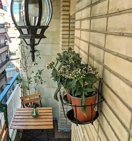 Apartamento Piso Centrico Y Con Encanto En Plaza De Toros Alicante